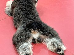 -和它·交个朋友·狗咖猫咖(爱琴海店)