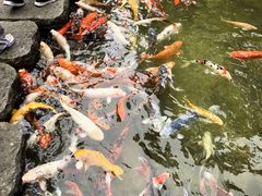 -广州花园酒店