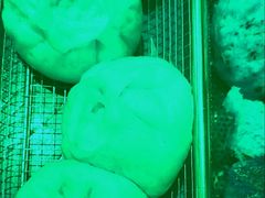 -锅老头铁锅炖•大锅蒸汽海鲜(韩乐坊店)