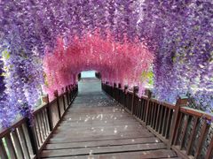 -沕沕水生态风景区