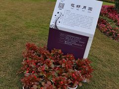 -东平国家森林公园