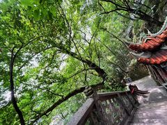-南山植物园