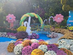 -上海共青森林公园