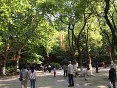 -杭州黄龙洞