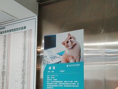 -伟伟宠物医院·CT影像中心·瑞派犬猫综合性门诊(汉口总院)