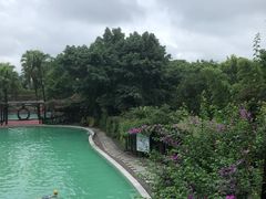 -天赐温泉
