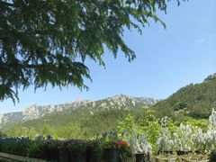 -崂山九水游览区