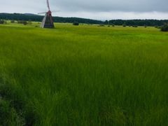 -塞罕坝国家级自然保护区