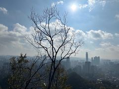 -黔灵山公园