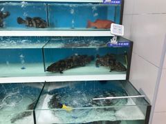 -盒马鲜生(大成店)