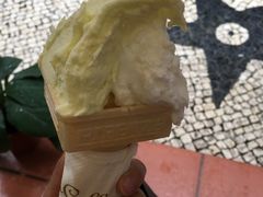 -柠檬车露(卖草地店)
