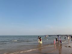 -日照海滨国家森林公园