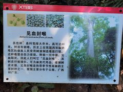 -中国科学院西双版纳热带植物园