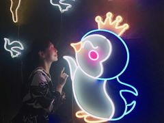 -枫花园汽车电影院(朝阳公园店)