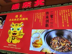 -遇东北林区铁锅炖(南开店)