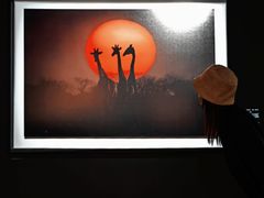 -罗红摄影艺术馆