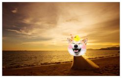 -巴黎新娘婚纱摄影·婚礼策划(嘉定总店)