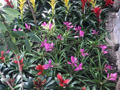 -北京植物园-展览温室
