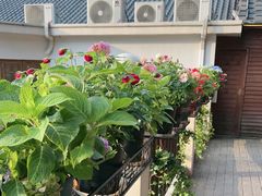 -耕渔小院·湖南鱼鲜(望城店)
