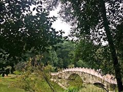 -铁山坪森林公园