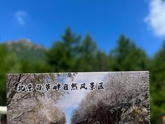 -白草畔自然风景区