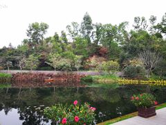 -鹅滋道(甘坑古镇店)