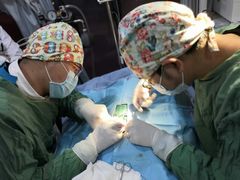 -菲丽丝宠物医院·24小时·猫科中心·免疫点(淮海分院)