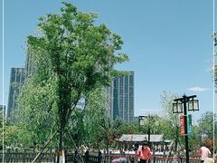 -西海子公园