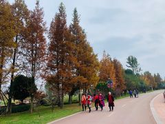 -云漫湖生态度假公园