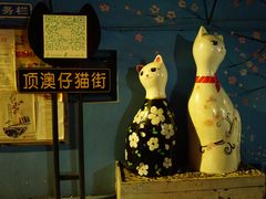 -猫咪博物馆(顶澳仔猫街店)