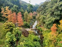 -云溪植物园