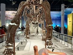 -国家自然博物馆