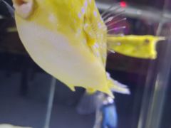 -大连圣亚海洋世界