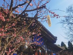 -大慈恩寺(大雁塔)