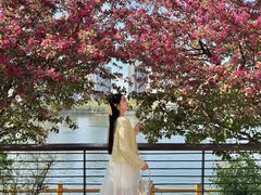 -长白岛森林公园