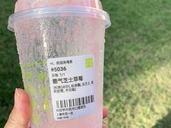 -奈雪的茶(市百一店)