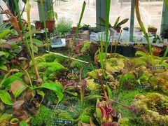 -国家植物园南园