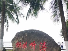 -万绿园