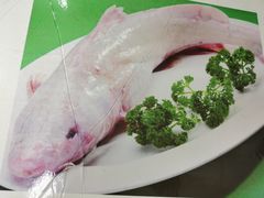 特色鮰鱼-桃园酒店