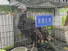 -王婆炒鱼(总店)