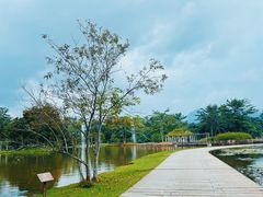 -中国科学院西双版纳热带植物园