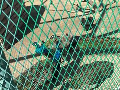 -晶宝温泉农庄