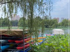 -WhaleSports户外水上运动俱乐部(朝阳公园店)