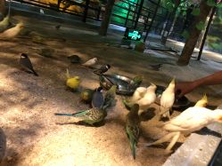 -酷嗒动物文化乐园(cutezoo西溪乐天城店)