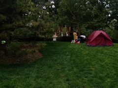 -朝阳公园游乐园