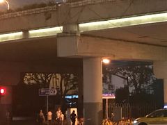 -上海游泳馆(地铁站)