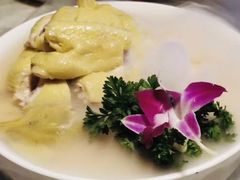 -老广酒楼(樱花店)