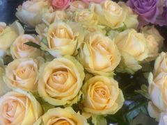 -MCJ-花店(西罗园店)