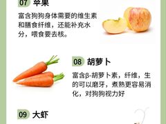 -美联众合动物医院·24h转诊中心