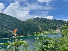 -武陵山森林公园